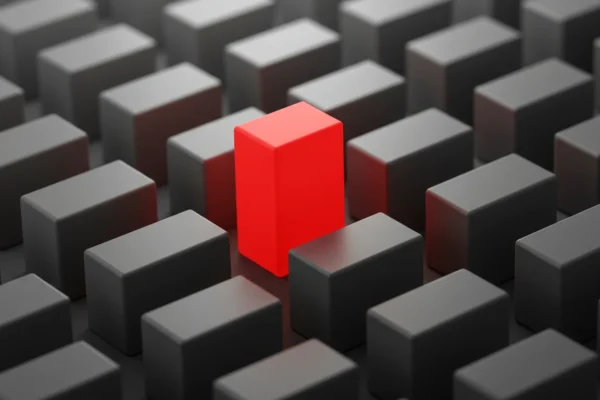 Brand Loyalty: 15% More Sales by 2026